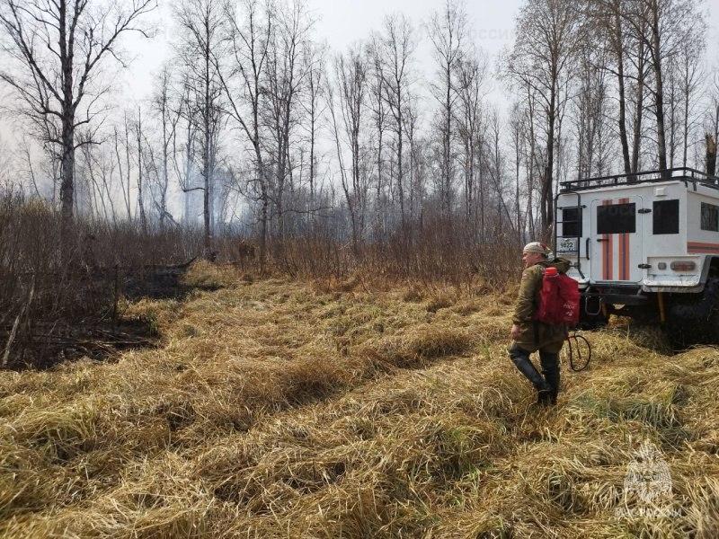 Фото В Новосибирской области из-за ландшафтного пожара эвакуировали деревню Мариинка 3